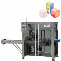 Automatic Horizontal Box Packing Machine (Basic Type A)
